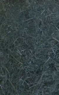یونجه خرمن‌کوب شده