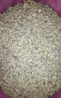 کندل
