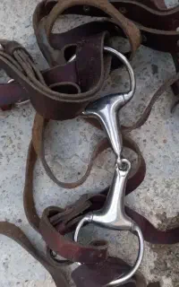 رین و لگام