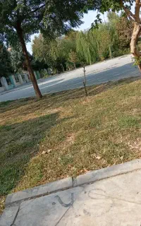 همسفر کشورترکیه