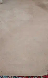 موکت در حد نو هرکدام یک تومن
