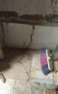 موریانه زدایی وسمپاشی تضمینی