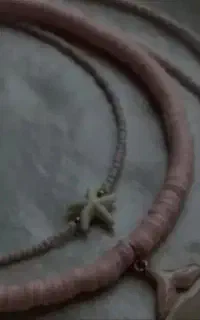 ترند بازار اینجاست