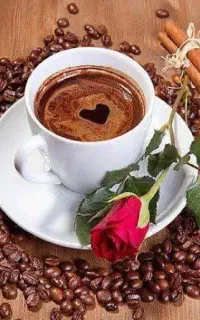 نور هدایت