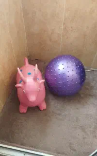 بز بادی با توپ بادی