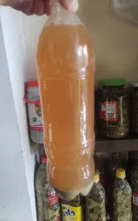 آبغوره و کشمش
