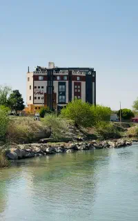 میزبان کافه و رستوران