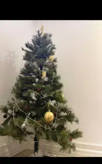 درخت کریسمس بزرگ بلند