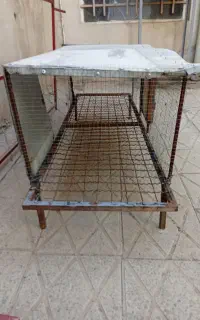 قفس جامرغی