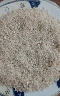 برنج فجرسونی ۹۰روزه لاشه وسالم