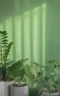 جویای کار درمنزل هستم.