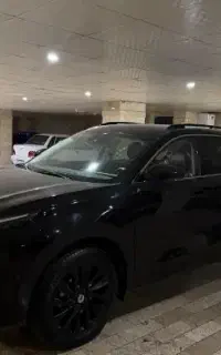 لاماری از دم قسط