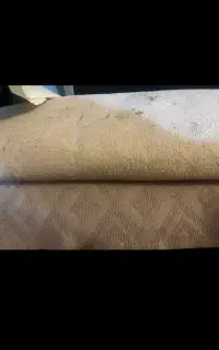 موکت درحدنو.