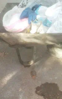 فرغون کارکرده