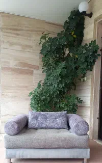 مبل ، مبلمان ، مبل راحتی