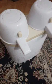 فلاکس دوقلو