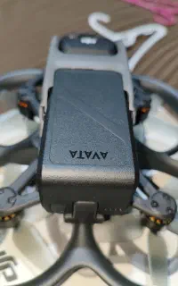 avata1