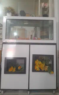 اکواریوم
