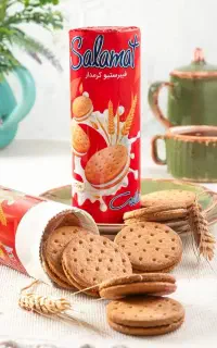 استخدام ۲ بازاریاب حرفه ای مقیم بوکان و سقز