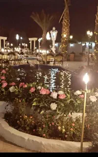باغ عمارت مطلا