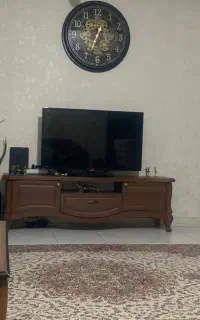 تلوزیون