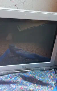 تلویزیون