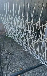 حفاظ کاران راد