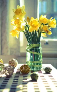 شرکت خدماتی نظافتی یاران پاکیزه افرا