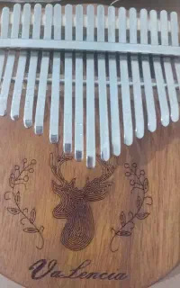 کالیمبا جنس خوب