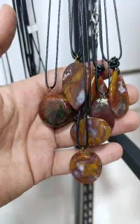تعدادی گردنی پاییزه شجرواماتیس اصل درشت