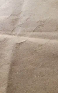موکت کرم رنگ