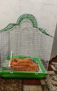 قفس