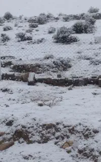 خیمه برزنت 3در 4رنگ سبز، ضخیم