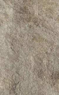 کاه گندم جو گلرنگ کربال