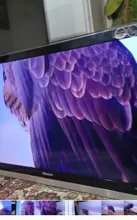 تلوزیون ال ای دی ۴۲ اینچ  فلاشخور