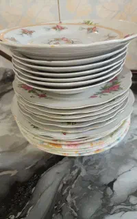 انواع بشقاب گل سرخ قدیمی