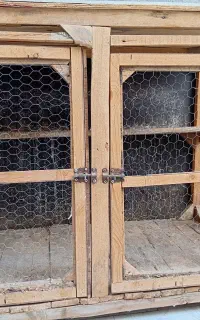 قفس بزرگ مرغ و خروس