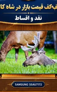 ال ای دی تلویزیون/تمام قسطی/۳۲تا ۷۵/بی ریالی