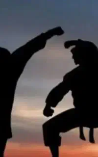 دفاع شخصی و کیک بوکسینگ سبک imoa