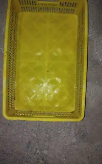 سبد خرما