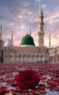 کاروان زیارتی ۴روزه تمامی عتبات