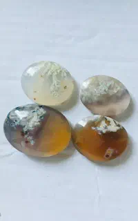 4عدد سنگ شجر بهاری