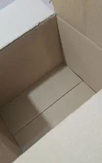 کارتن