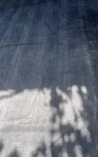 موکت