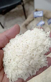 برنج تازه هاشمی روشن اعلا فی 265
