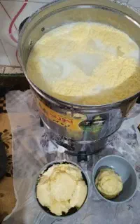 کره  گاومیش وکره گاوخانگی خالص