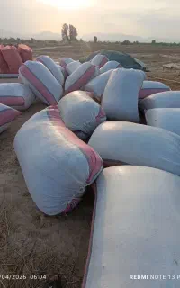 یونجه