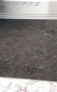 ماکروفر الجی