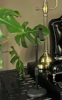 آگهی استخدام کاری خانم