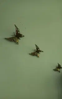 برنز پروانه
